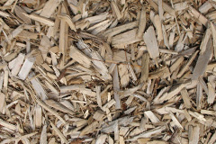 biomass boilers Cardonald
